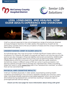 image of flyer highlighting services for Senior Life Solutions